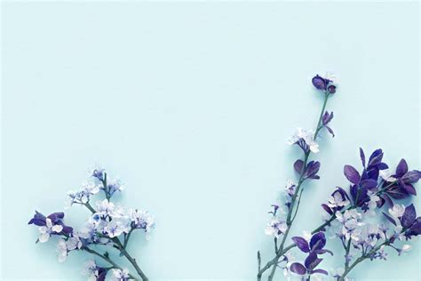 Free Blue Flowers Aesthetic Background Photos, [100+] Blue Flowers ...