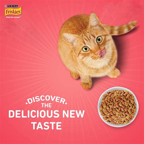 Friskies Kitten Discoveries Dry Food – ShakeHands