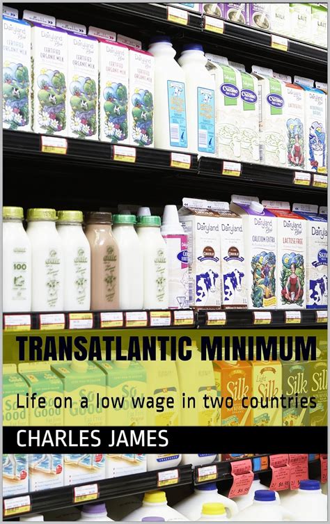 Transatlantic Minimum: Life on a low wage in two countries eBook ...