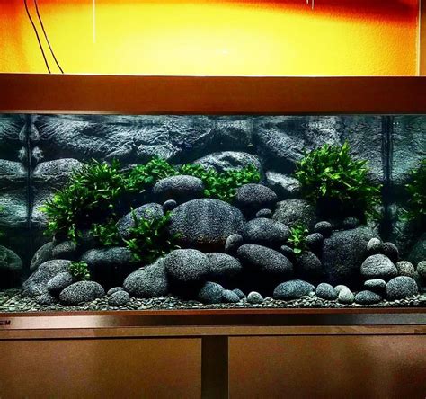 Image result for Fish Tank Pebbles