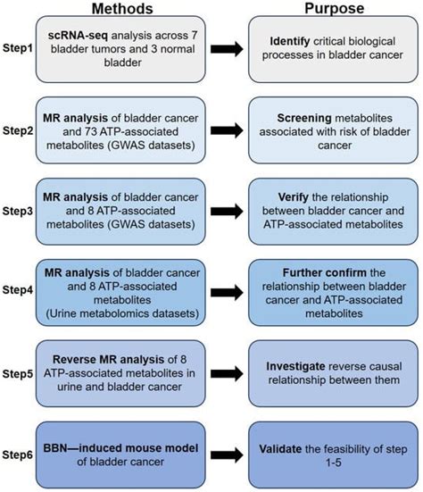 Insight into Fructose-to-Sucrose Ratio as the Potential Target of ...