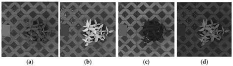 A Fourier Transform-Based Calculation Method of Wilting Index for ...