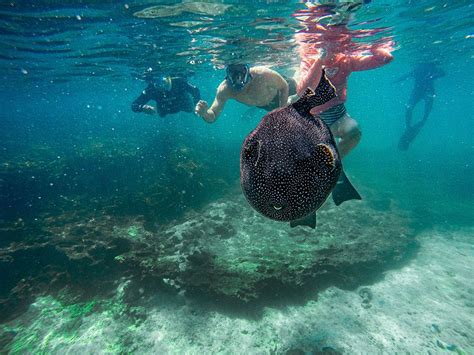 Program Night "A Photo Tour of the Galapagos Islands", Lone Tree Civic ...