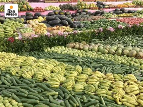 The King of Salangpur had a magnificent food store of 56 thousand kilos ...