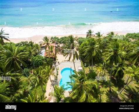 Sea beach, coconut palm trees and hotel pool, Sri Lanka. Aerial view of ...