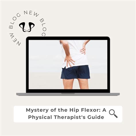 Pelvic Floor Exercises for Men: Strengthening Your Core - Pelvis.nyc