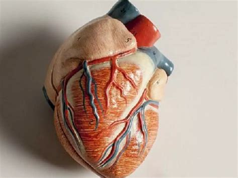 Man Lands In Jail For 9 Years For Selling Diseased Human Organs To ...