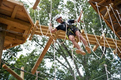 Flying Rabbit Adventures | Aerial Adventure Park | Book Now!
