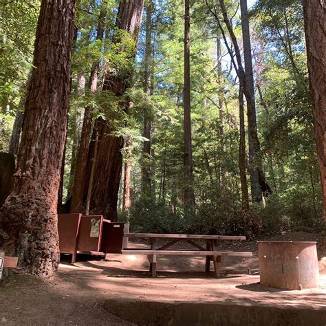 PORTOLA REDWOODS STATE PARK (2026) All You Need to Know BEFORE You Go ...