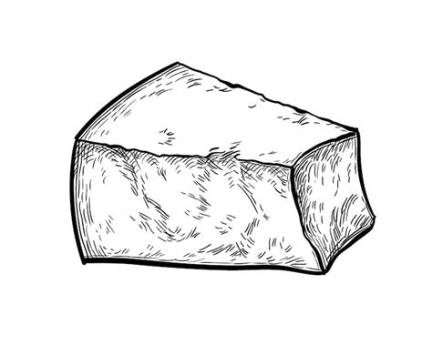 Cheese block ink sketch Vectors - Download Free High-Quality Vectors ...