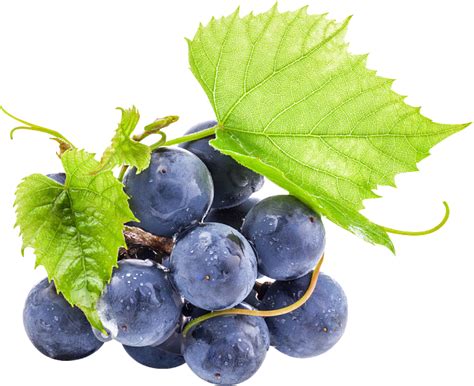吃葡萄的好处和坏处，每年几月才是真正吃葡萄的季节 - 鲜淘网