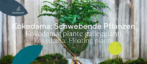 Kokedama: Schwebende Pflanzen - piante galleggianti, Trauttmansdorff ...