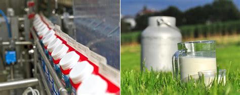 Milch: Aldi drückt Trinkmilchpreise um bis zu 12 Prozent | agrarheute.com