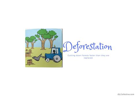 Environment Flashcard 的图像结果