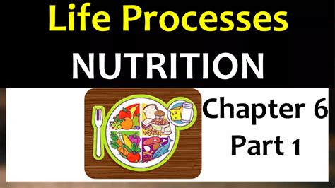 Life Processes Class 10 SuccessCDs 的图像结果