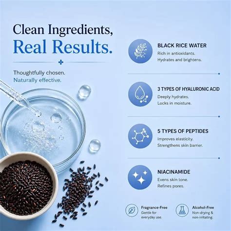 Rice Berry Pore Refining Toner – Little Extra
