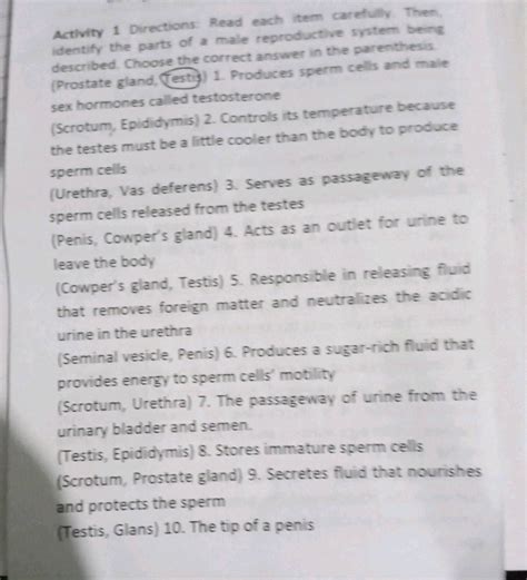 Activity 1 Directions: Read each item | StudyX