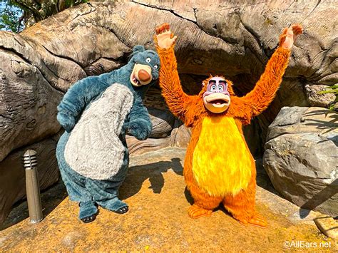 The Rare Disney World Characters Only the Pros Know About - AllEars.Net