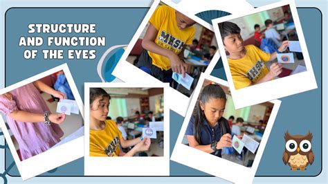 Our Magnet Program – Magnet Program – Dr. Sammy Lee Medical & Health ...