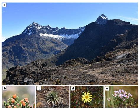 A Nature Tourism Route through GIS to Improve the Visibility of the ...