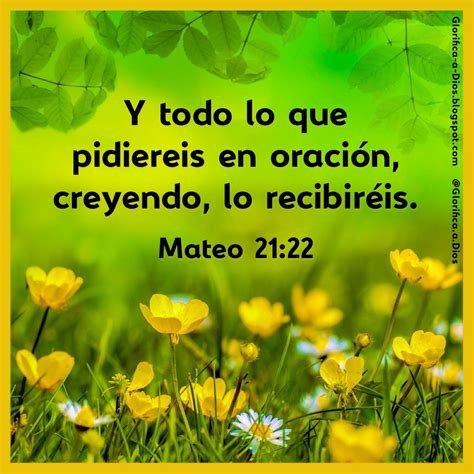 Glorifica a Dios: Mateo 21:22