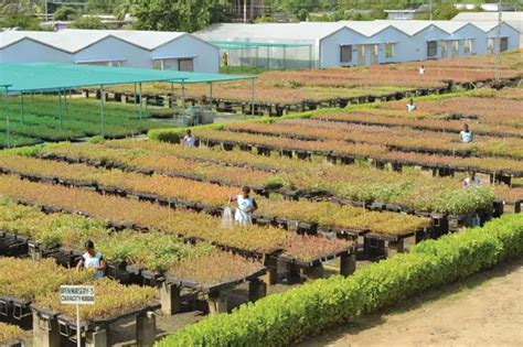 “We expect momentum to pickup from H2 of this year” - The Noel DCunha ...