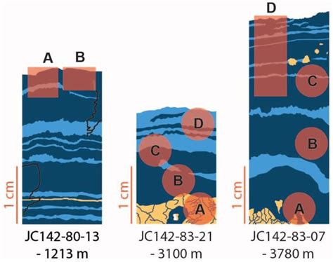 Assessment of the Mineral Resource Potential of Atlantic Ferromanganese ...