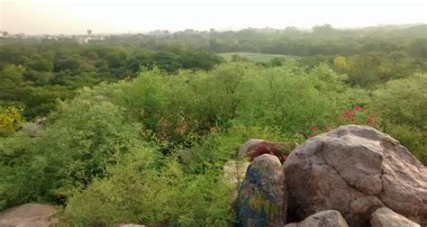 The Alternative Subculture | Jawaharlal Nehru University | LBB