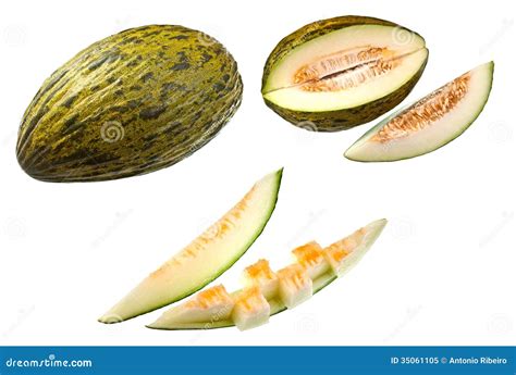 Piel de Sapo Melon stock image. Image of portion, piel - 35061105