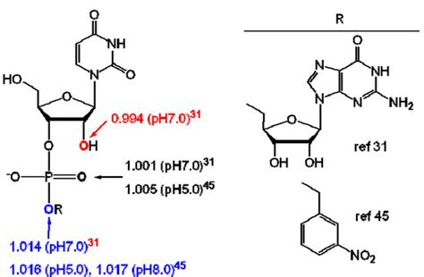 Molecules | Topical Collection : Isotope Effects