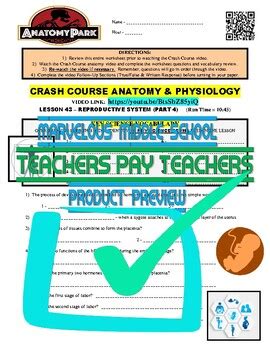 Crash Course Reproductive 的图像结果