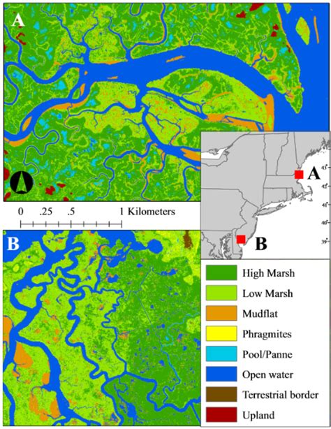 Image result for Random Forest Visualization