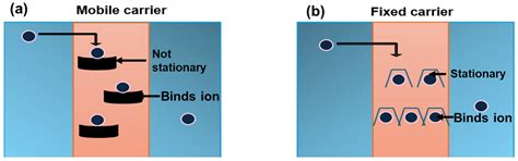 Membrane Technologies for Separating Volatile Fatty Acids Produced ...