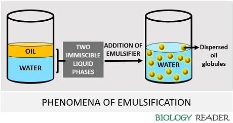 Image result for Emulsion Process