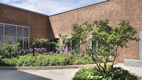 Image result for Springfield High Capacity