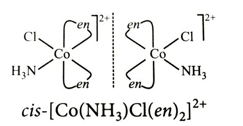 `[Co(NH_(3))Cl (en)_(2)]^(2+)` shows two geometrical isomers cis and ...