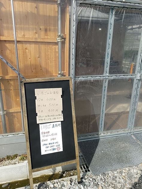 ISHIKAWA STRAWBERRY FARM (2024) All You Need to Know BEFORE You Go ...