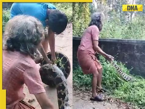 Image result for Python Rescue Videos