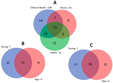 Combined Transcriptomic and Metabolomic Approach Revealed a ...