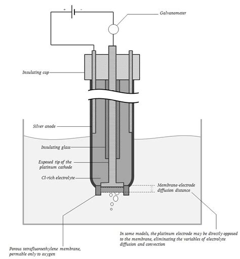 Image result for Clrk Electrode ABG PaO2