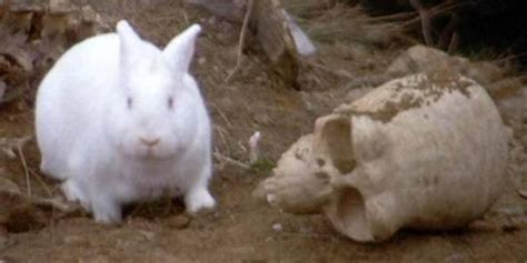 Image result for Monty Python Killer Sheep