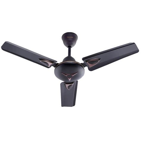 Buy Candes Amaze 900 mm Anti-Dust Ceiling Fan, Coffee Brown at Best ...
