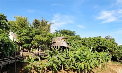 TREE LODGE BANLUNG (Ratanakiri) - Guesthouse Reviews & Photos - Tripadvisor