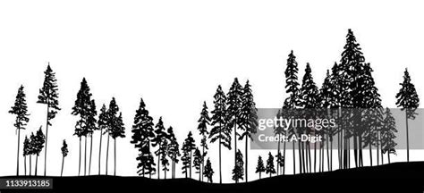 Image result for Gambar Contoh Script JavaScript