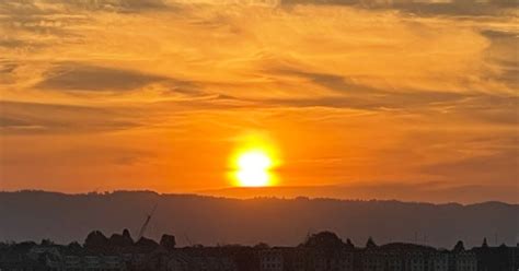 Image result for Computer Screen with HTML