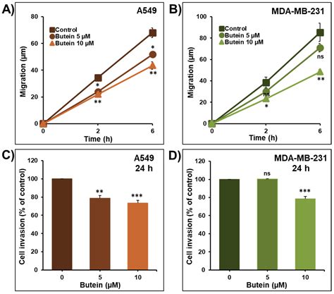 Butein and Frondoside-A Combination Exhibits Additive Anti-Cancer ...