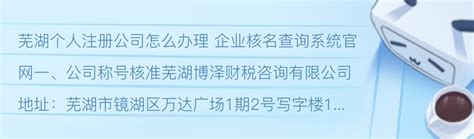 芜湖个人注册公司怎么办理 企业核名查询系统官网 - 哔哩哔哩