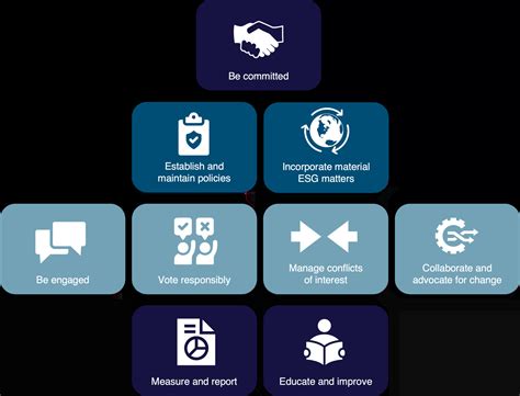 Image result for How to Implement Stewardship