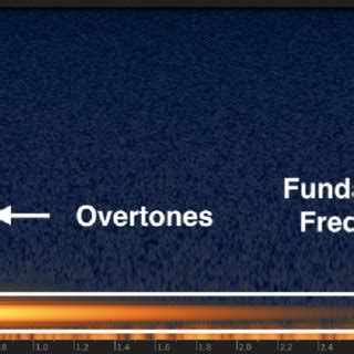 Spectrogram Analysis Tool 的图像结果
