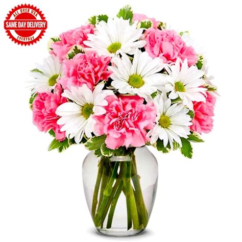 Send Gifts Online USA-Daisy & Rose Delight Online - GAL23-111804 ...